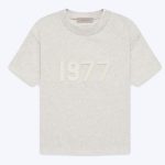 Essentials 1977 T-Shirt Gray