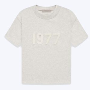 Essentials 1977 T-Shirt Gray
